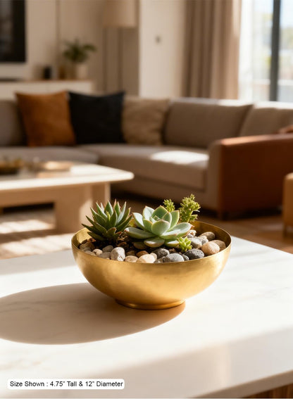 Decorative Potpourri Bowl Filler – Natural Home Fragrance & Table Decor Accent